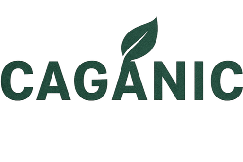 CaganicNano